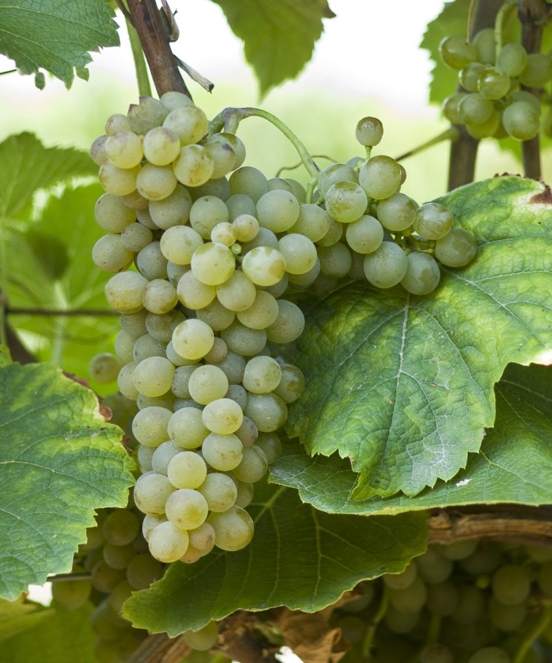 Solaris - Cluster in the field