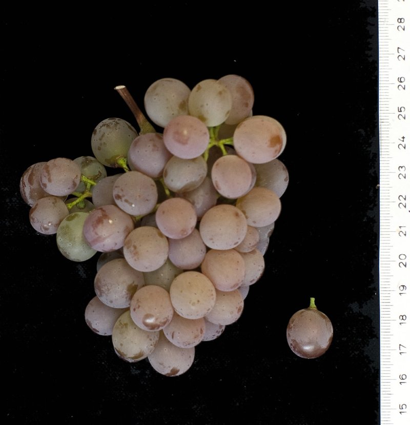 Jubileum 75 - Cluster in the laboratory